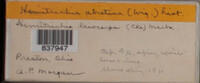 Image Associated With the Occurence